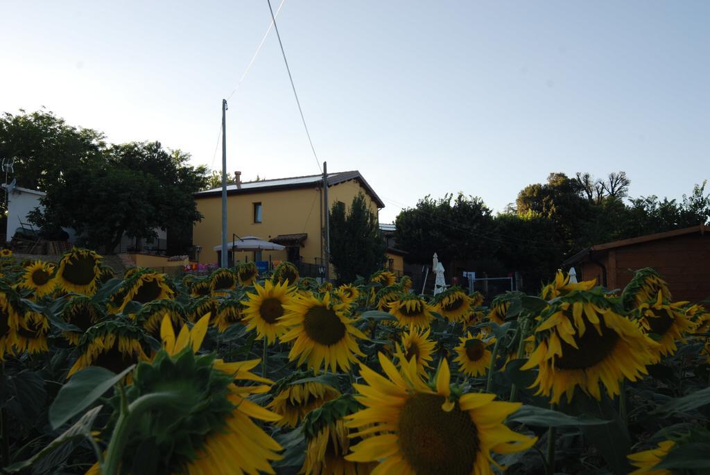 Aparthotel Il Tiglio